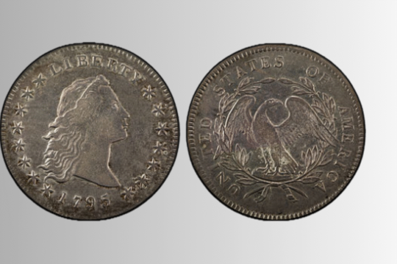 Discover the Surprising Story Behind the First One Dollar Coin with a Silver Plug
